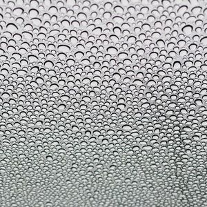 Meet your Posher, Ranjit